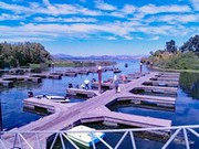 2018 Tournament Images from Clear Lake