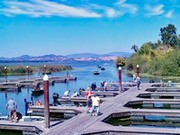 2018 Tournament Images from Clear Lake